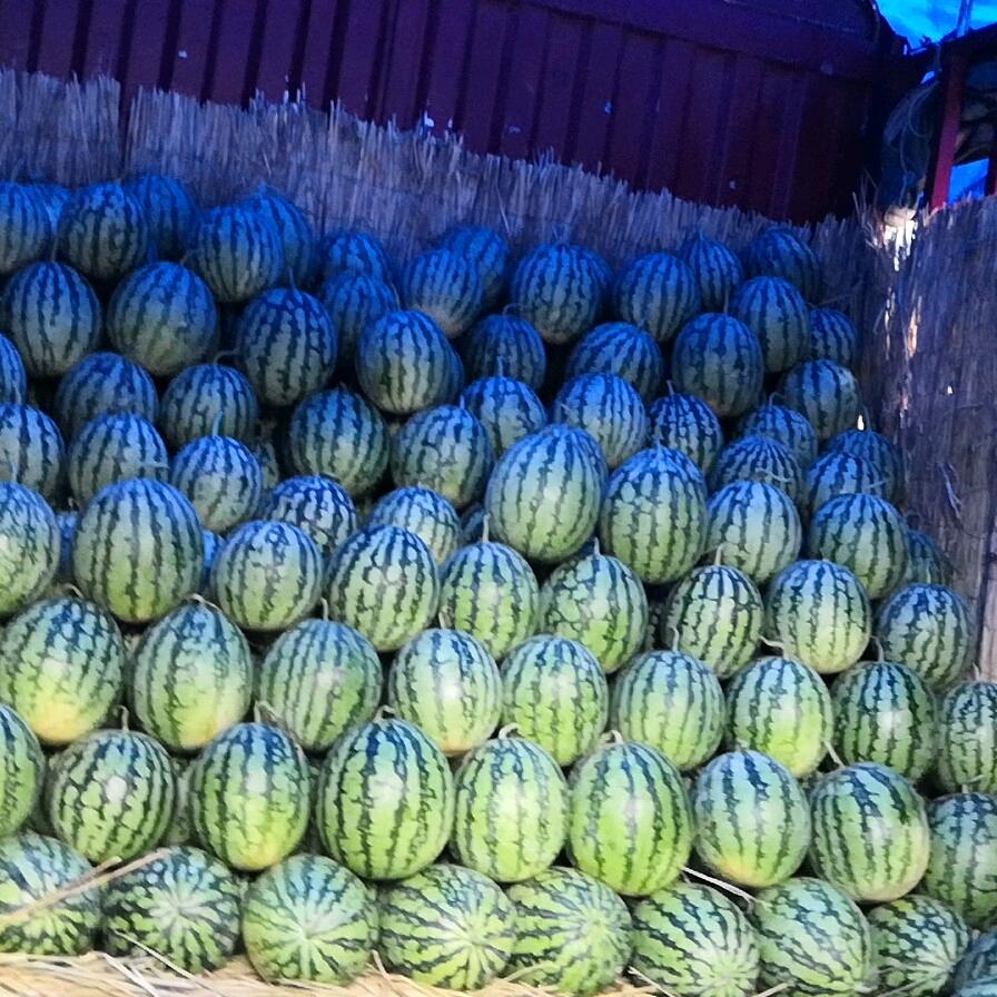小蔡果业