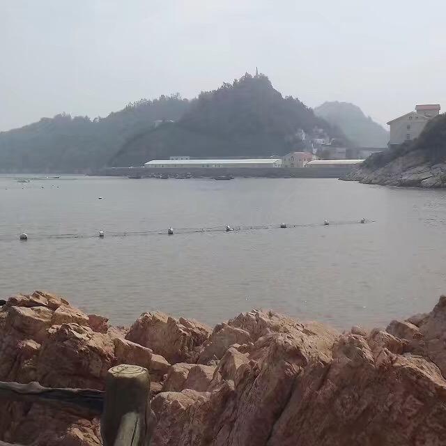 心中的太阳