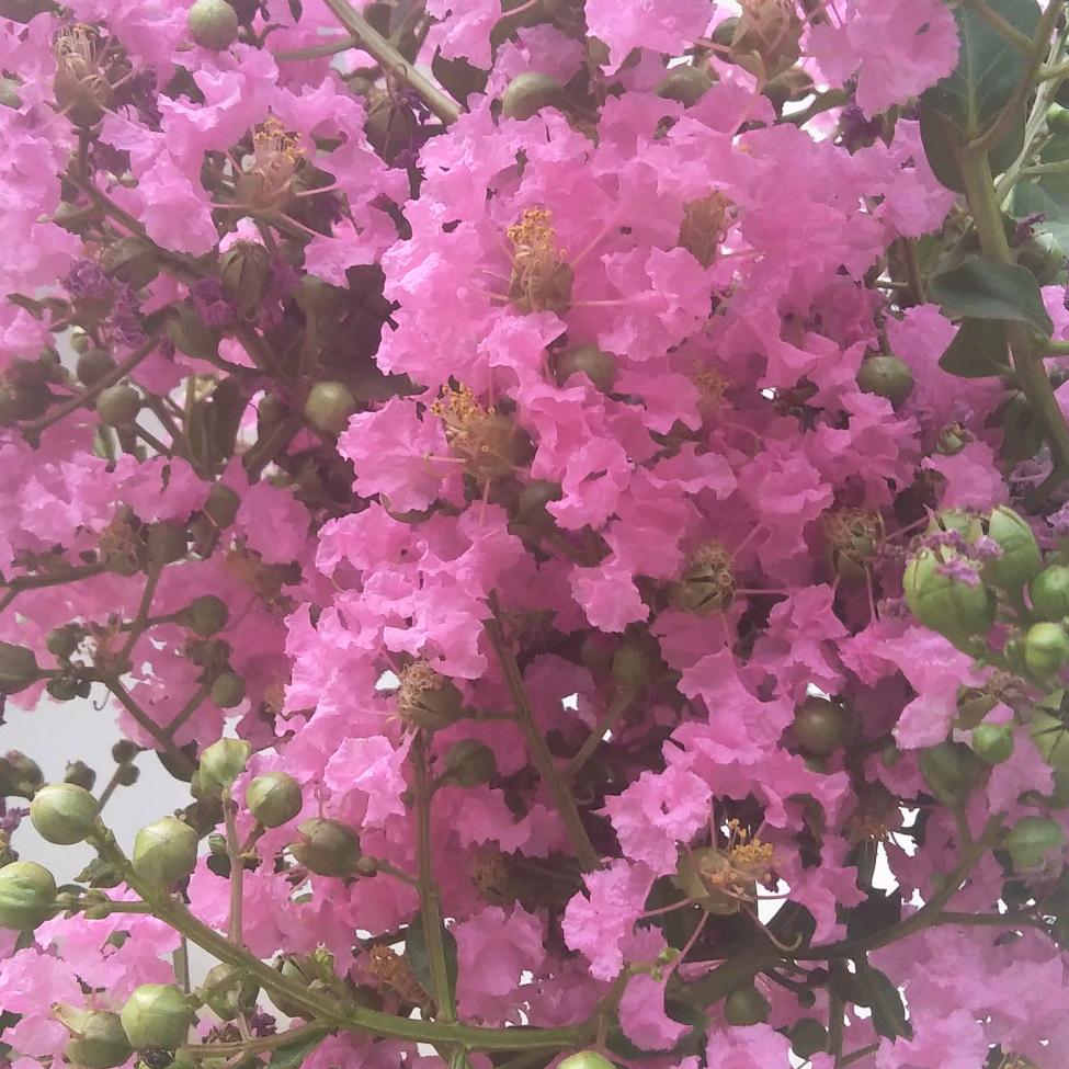 永远回不到过去