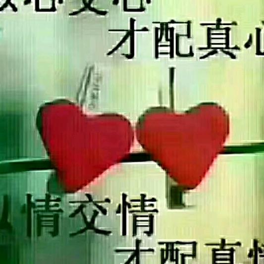 梦中的蝴蝶