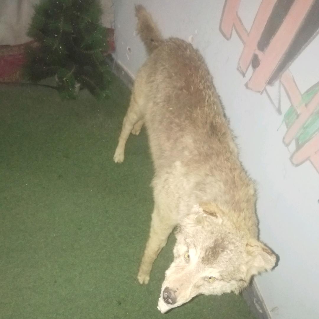 开心的人乐