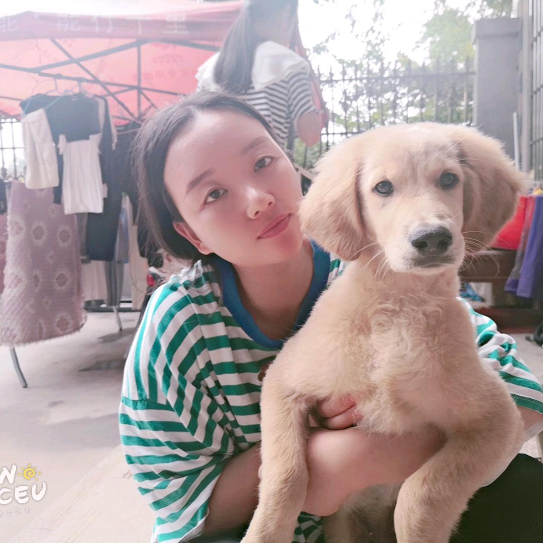 我是袄张