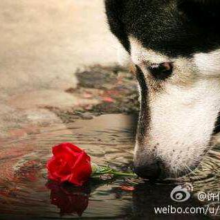 喲老许啊
