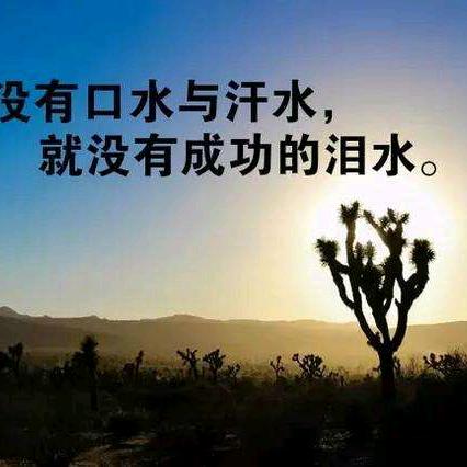 甘肃《小伙》