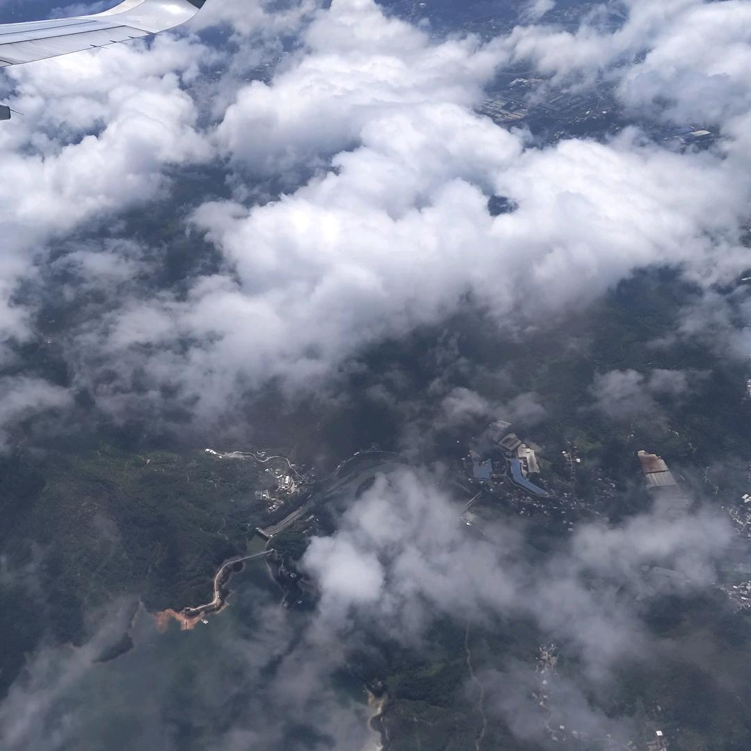 顾北清歌寒