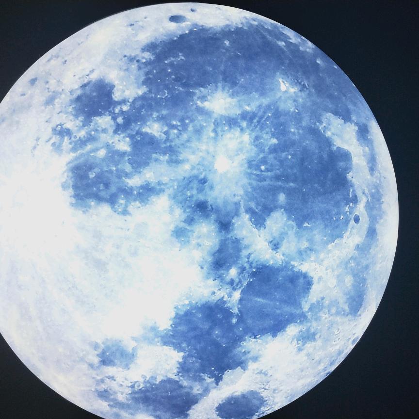 我的心跳属于你