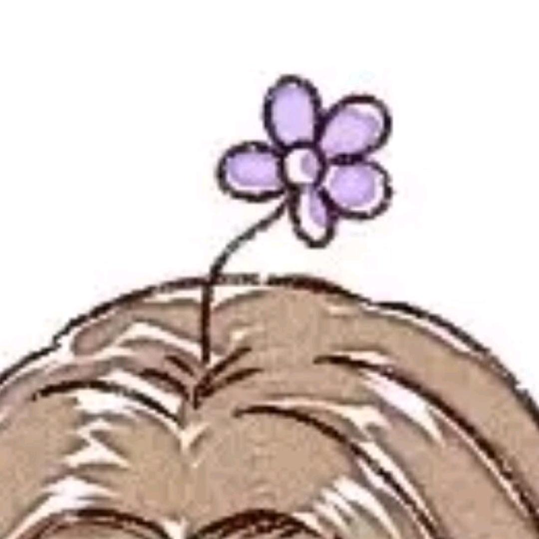 祎荌