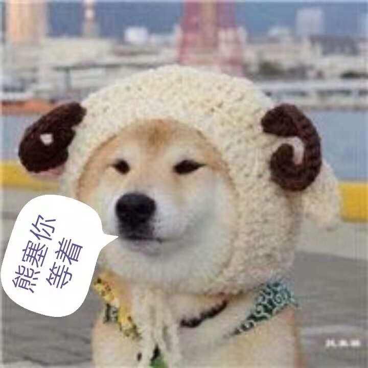 Small、迪