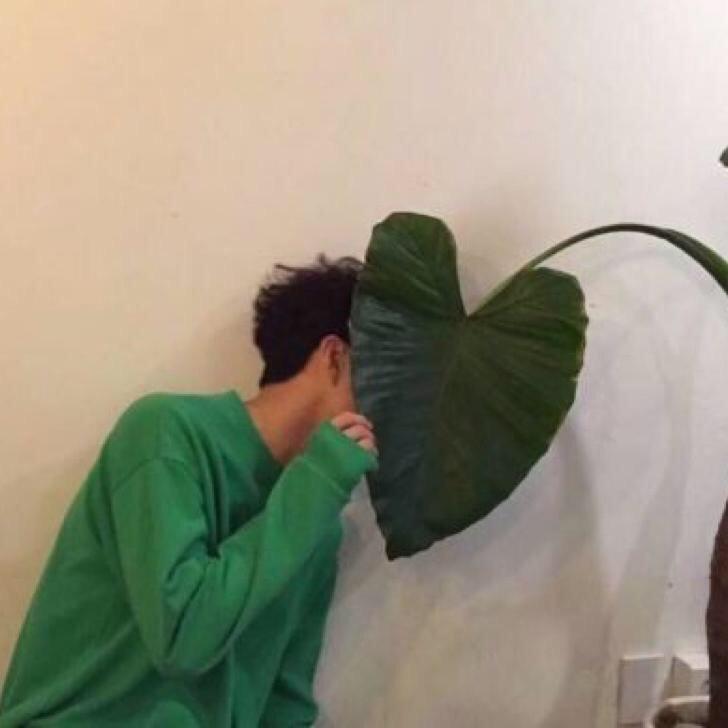刘大牛呀