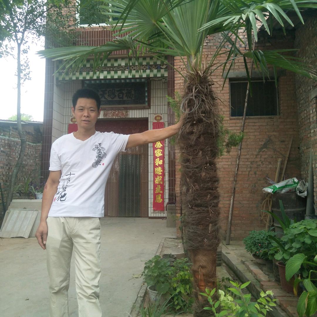 军伟凉菜许昌牛肉