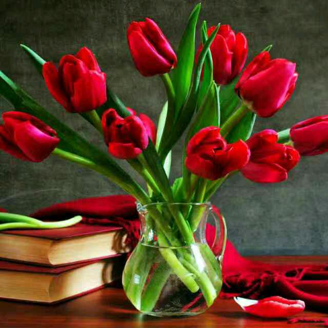 🌹🌷🌺🌻🍀zhang