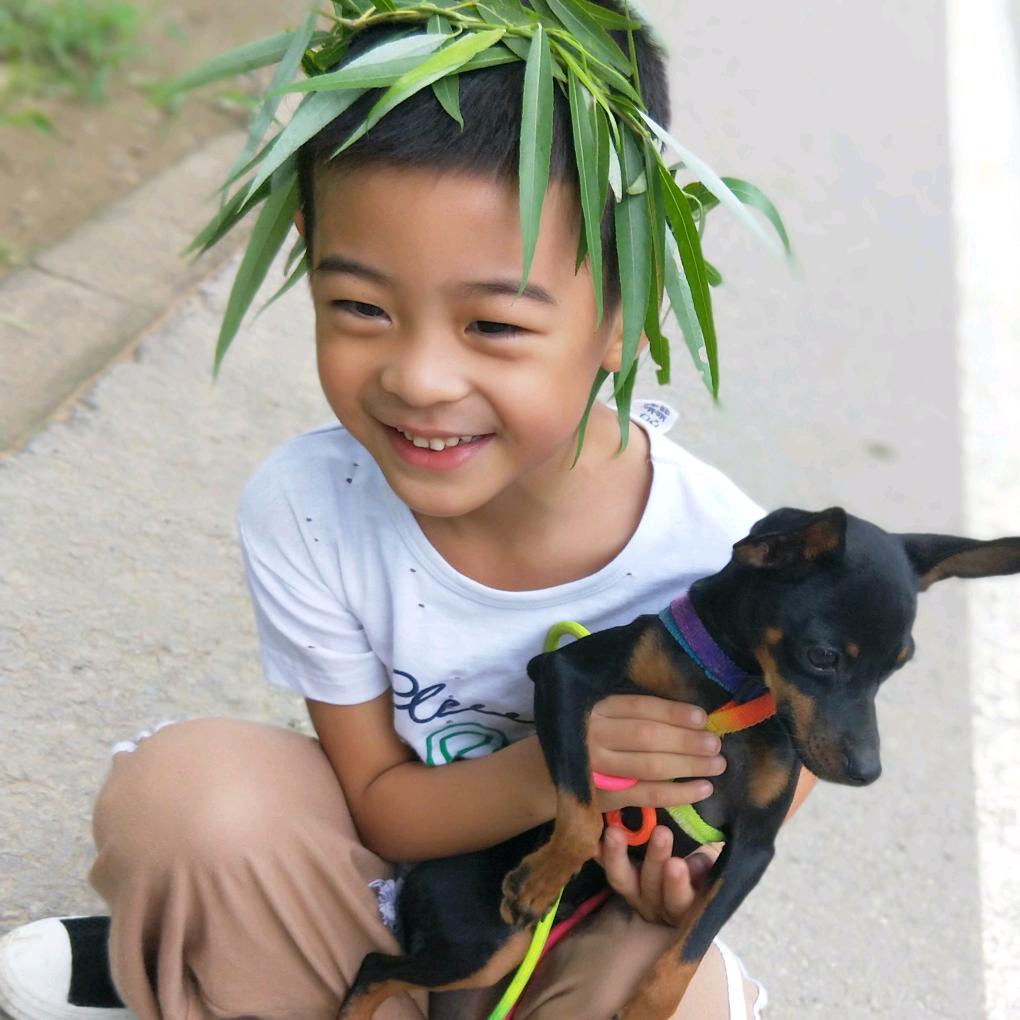 小太阳