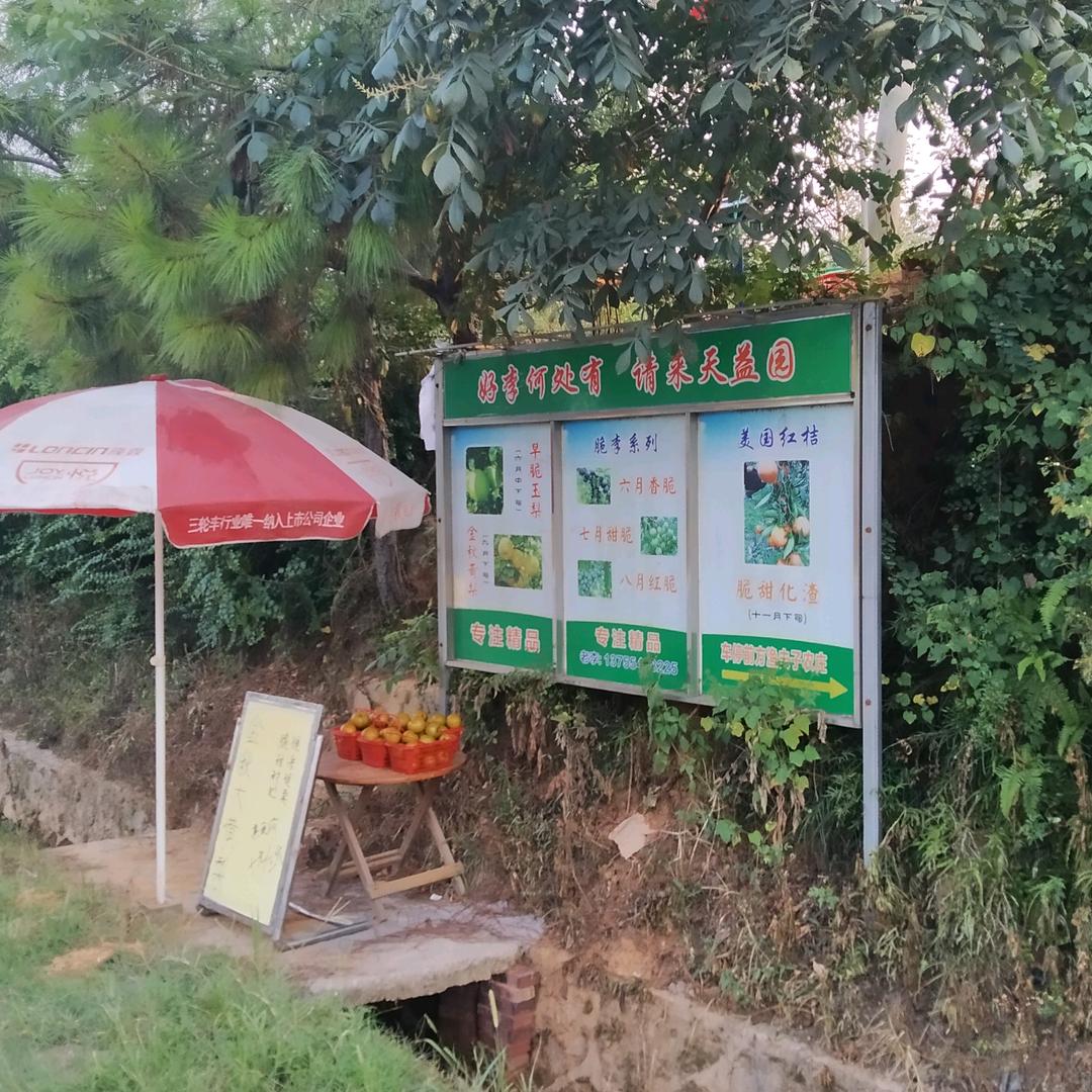 天益农夫(花为媒*果为缘)🌸🍑