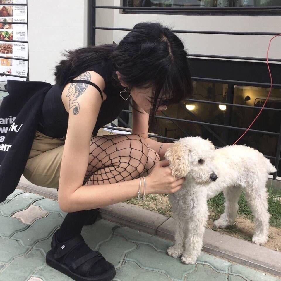是你的十一吖