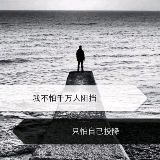 假装没来过