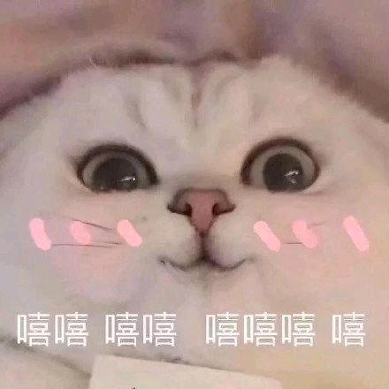 冰姐和二水
