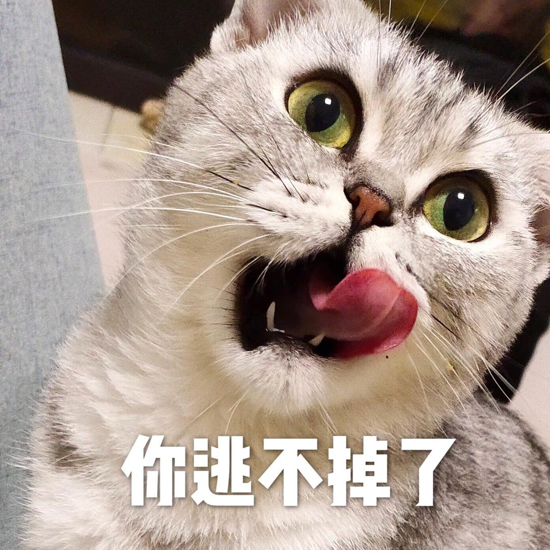 来口锅包又呗
