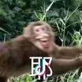 超可爱の我