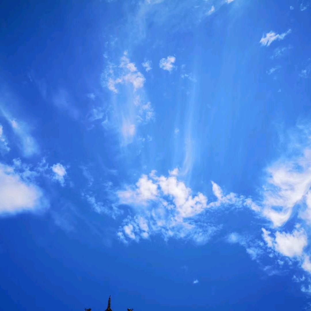 精慧