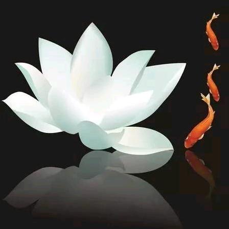 清