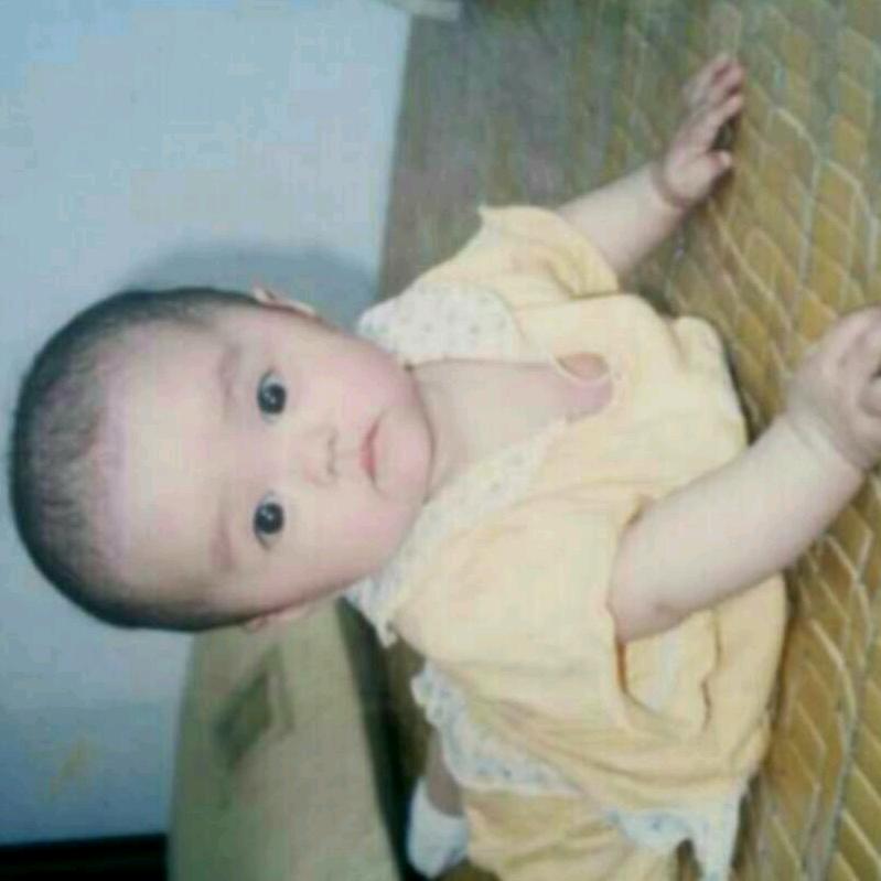 紫荆花漆、专业美缝