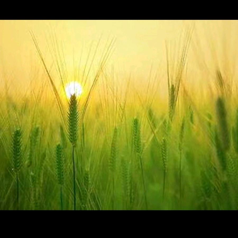 辉煌靠自己，发展才是硬道理。