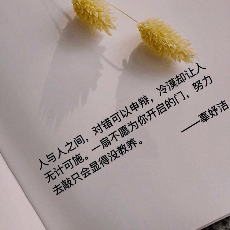 从倪的全世界路过