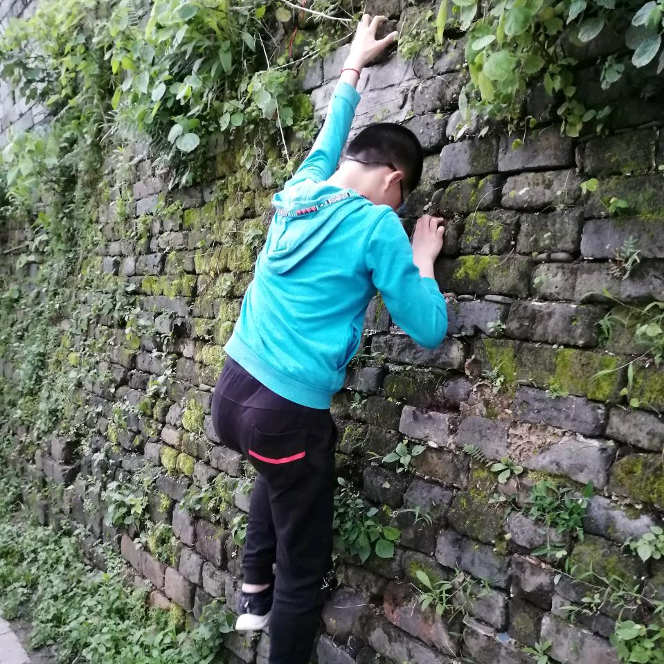 鲲鹏展趐