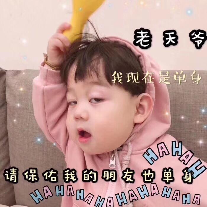 卢子酱