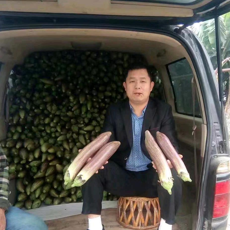 西双版纳鑫福特农业科技开发有限公司