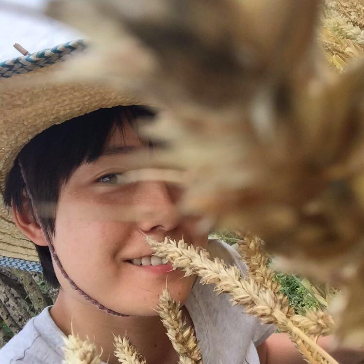 赵海伶