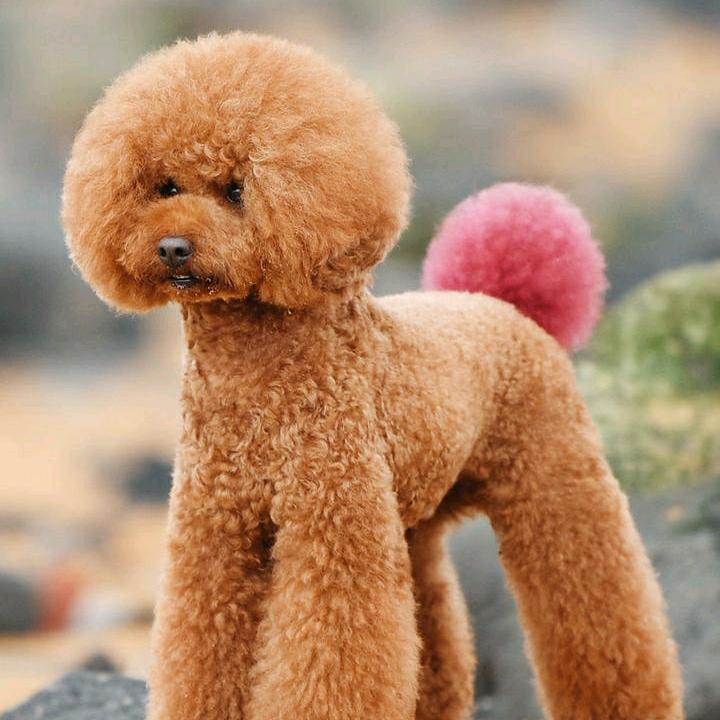 王永亮奋斗奔向未来