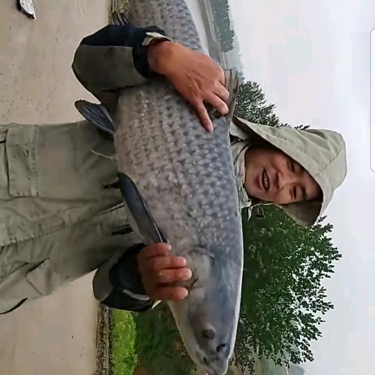 鱼栖林鲁东大物垂钓园