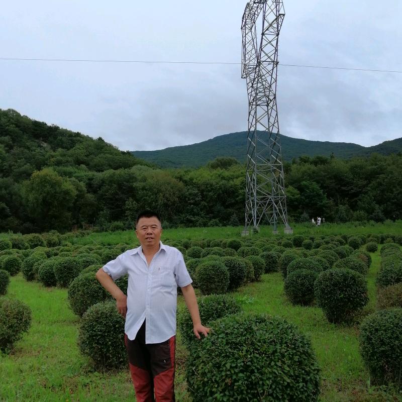 jilin22509