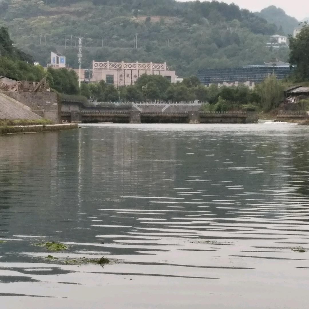 👀彬彬有你👉