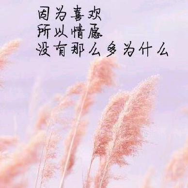 A石材加工，碑字业务