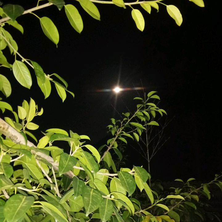 当年老汉