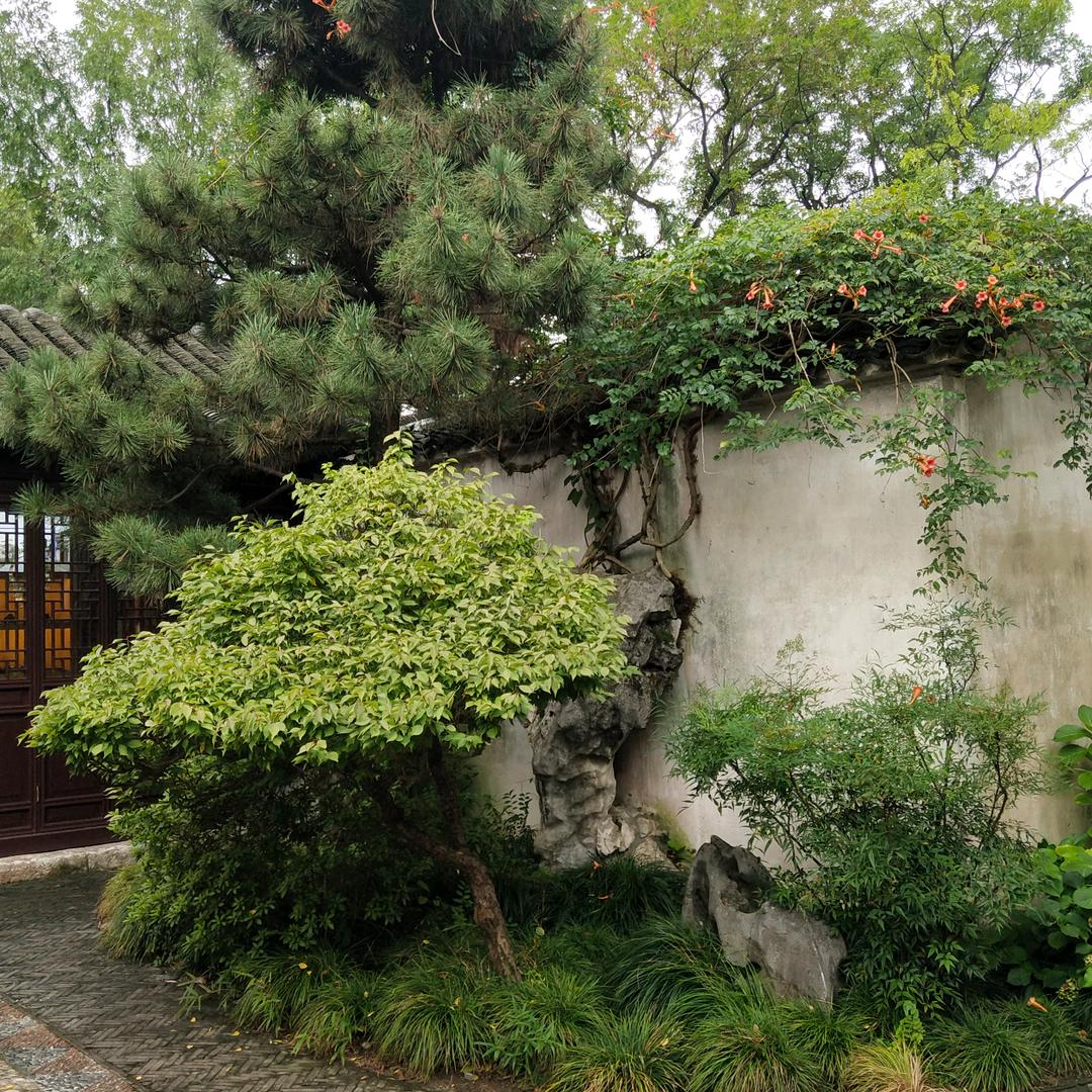 积极向上