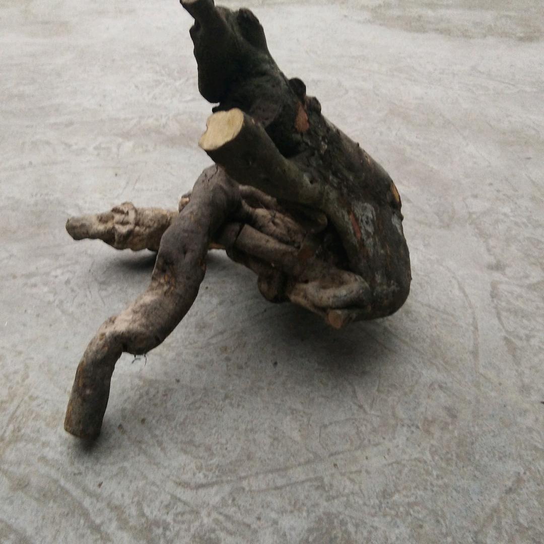 小王专业主动防护网