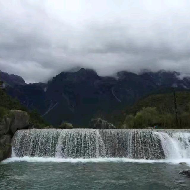 让梦飞翔