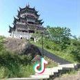 桐馨童