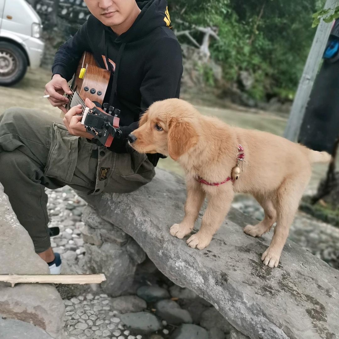 隔壁金弹子