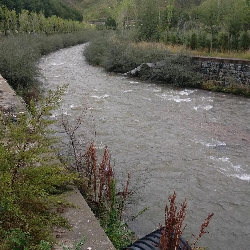 我想你……你随意