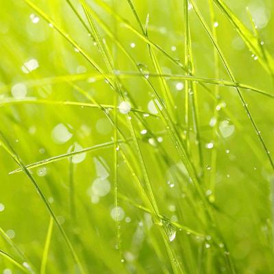 佳人海滩品夕阳