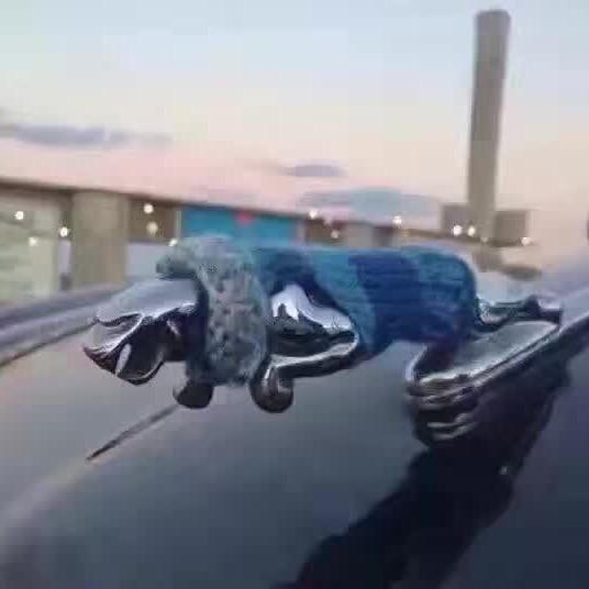 阿飞聊车