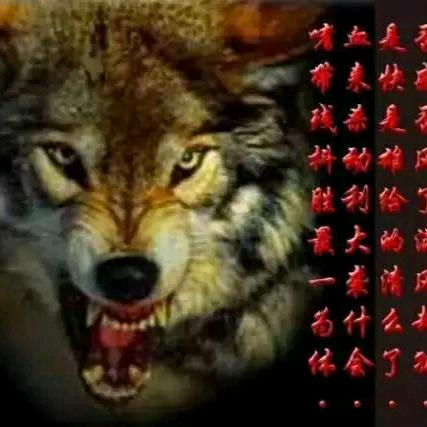 ＆亖卐冇卌＆