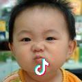 顿