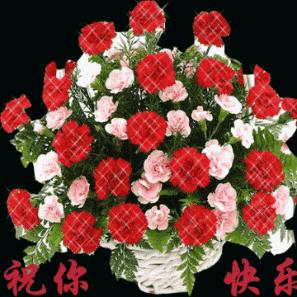 花花爱心红娘