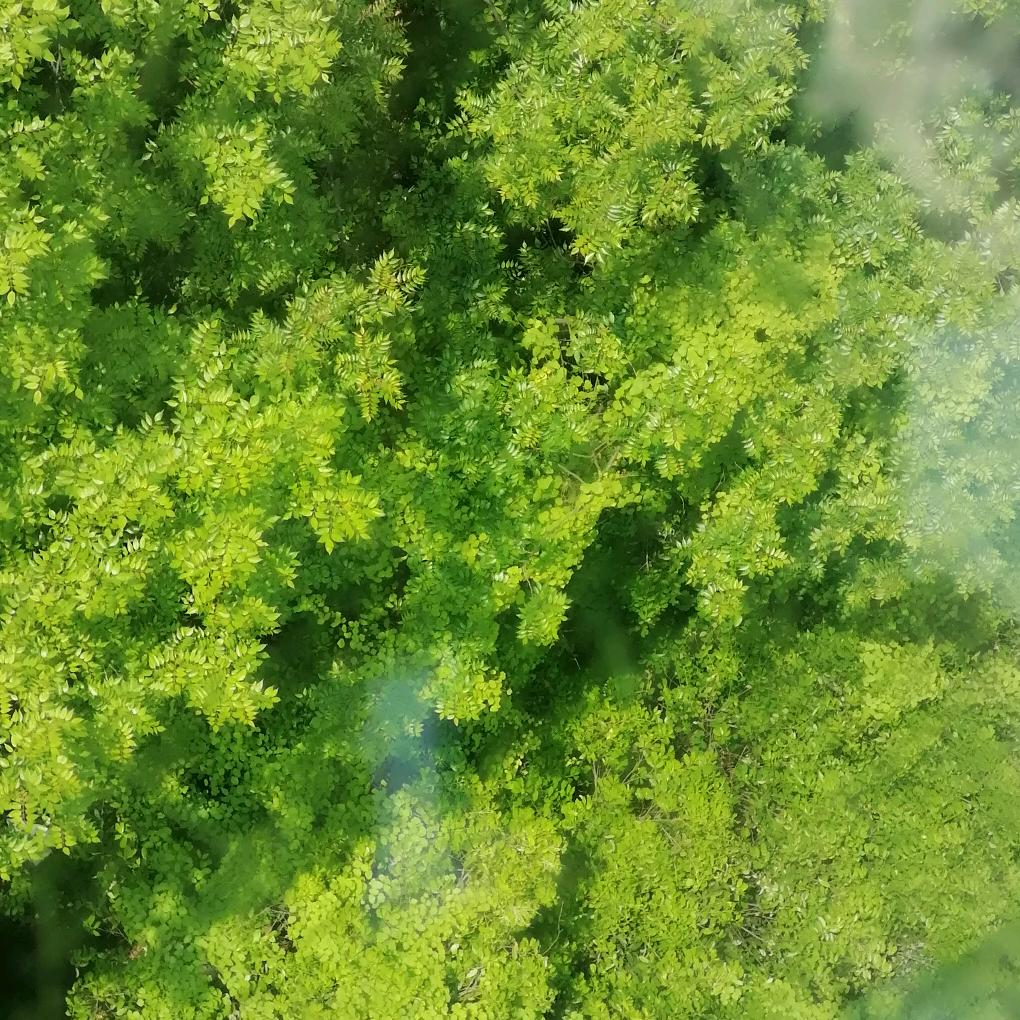 网名改了