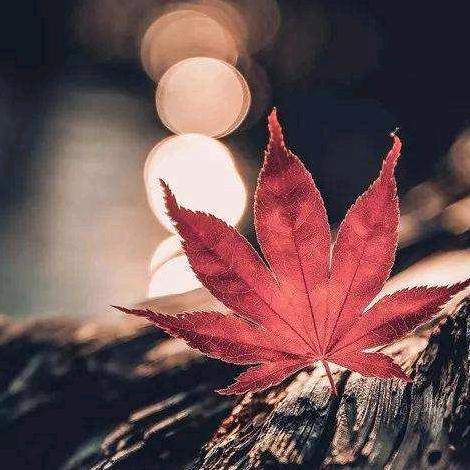 @嘉禾二手旧货交易市场